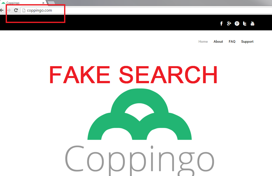 Coppingo.com-