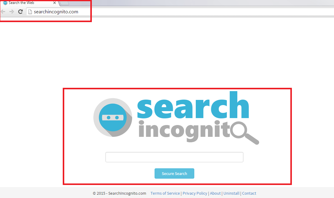 Searchincognito.com-