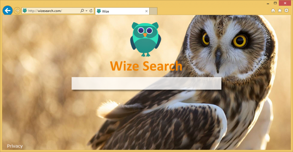 wizesearch