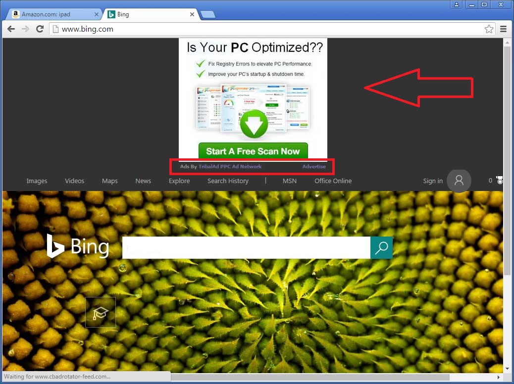 TribalAd PPC Ad Network verwijderen