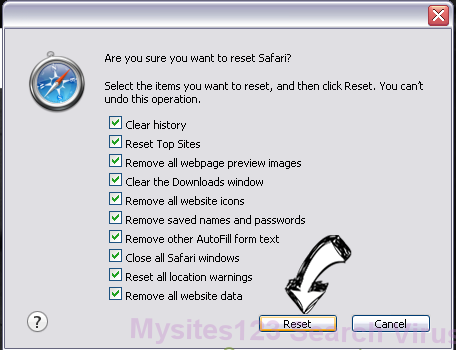 My Quick Converter Virus Safari reset