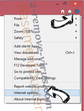 BasementDuster IE options