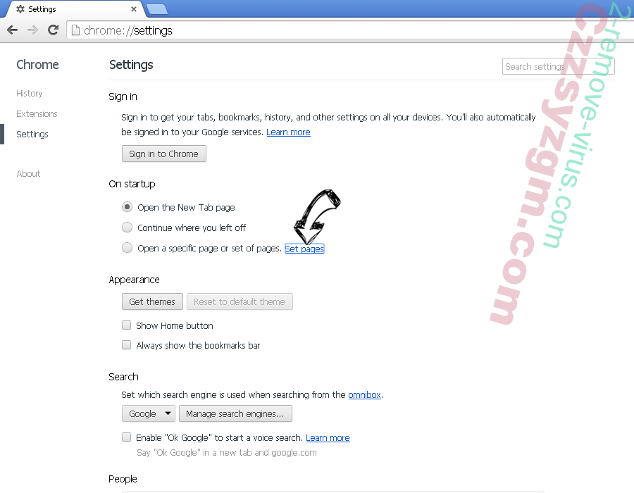 Ozip Search Chrome settings