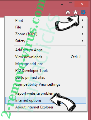 Terraclicks IE options