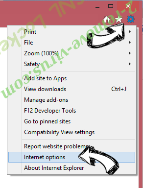 DirectionsOnline Toolbar IE options