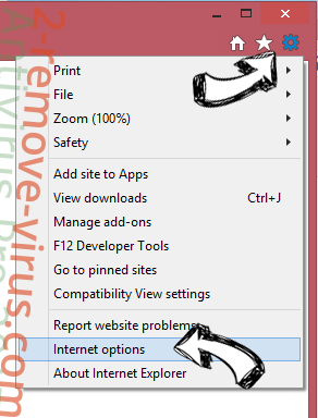 RZA4096 IE options