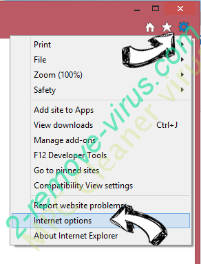 FlightSearchSpp IE options