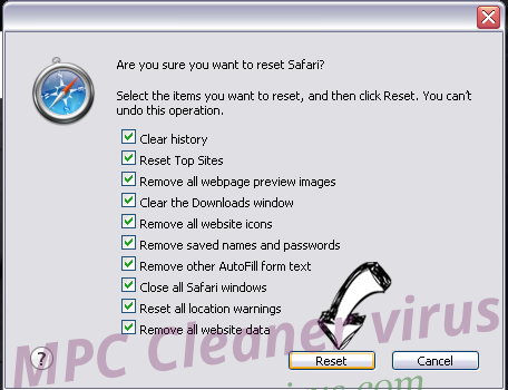 FlightSearchSpp Safari reset