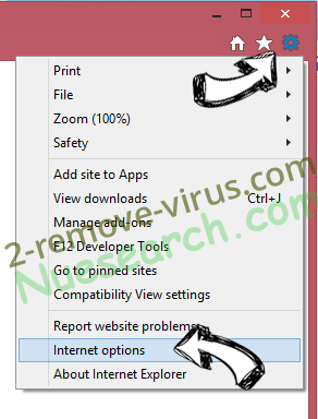 Zcryptor virus IE options