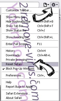 Cleanserp.net Safari reset menu