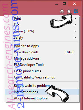 SeginChile Ransomware IE options