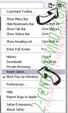 Nanoadexchange.com Safari reset menu