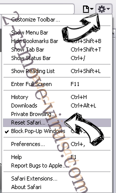 thesearch.net Safari reset menu