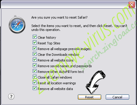 Microsoft System Security Alert Scam Safari reset