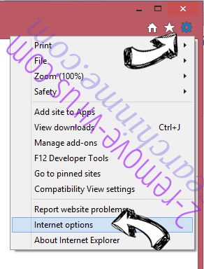 Guardian Search Protector IE options