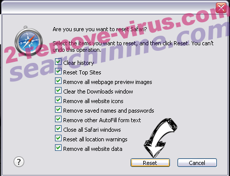 SECURESURF.BIZ Safari reset