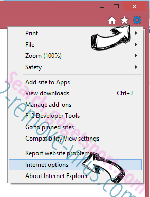 Phoenix Browser Updater IE options