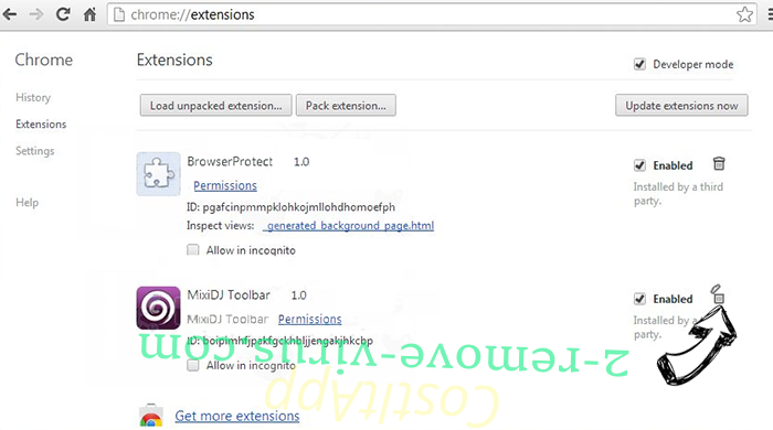 CostItApp Chrome extensions remove