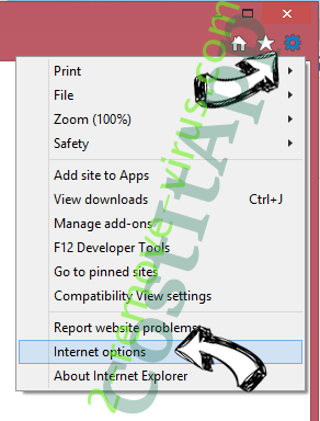 Feed.pdf-maker.com IE options