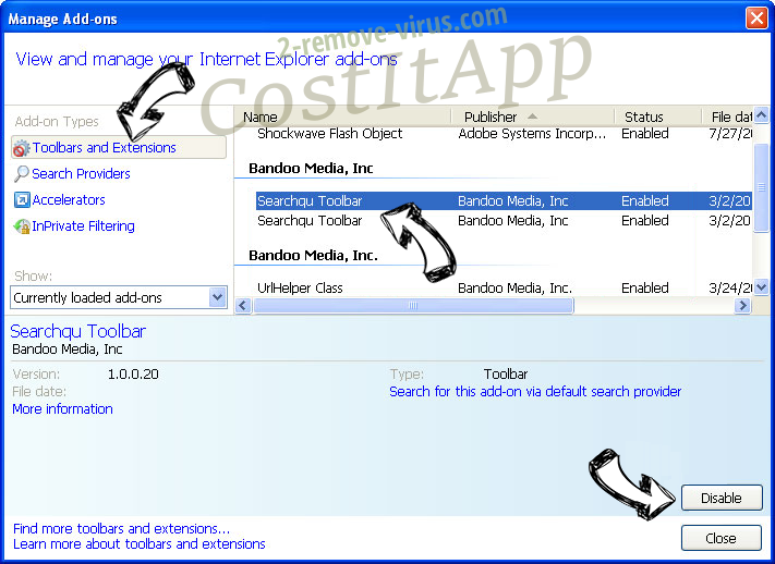 CostItApp IE toolbars and extensions