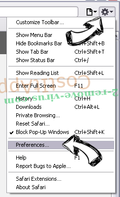 Directions.cm Virus Safari menu