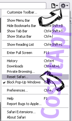 CostItApp Safari reset menu