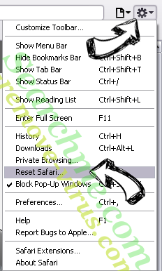 cltmng.exe Safari reset menu