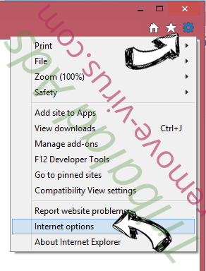 AtoZManuals Toolbar IE options