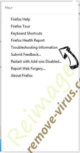 Flash Player Pro virus Firefox troubleshooting