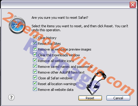 Flash Player Pro virus Safari reset