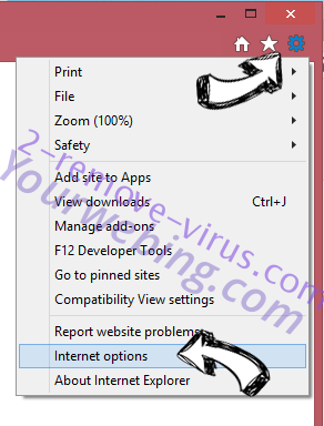 VideoConvert Toolbar IE options