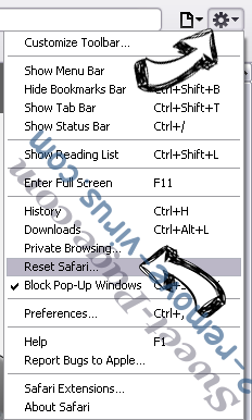 DNS Unlocker Safari reset menu