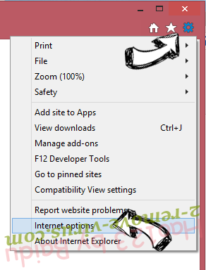 FileShareFanatic Toolbar IE options