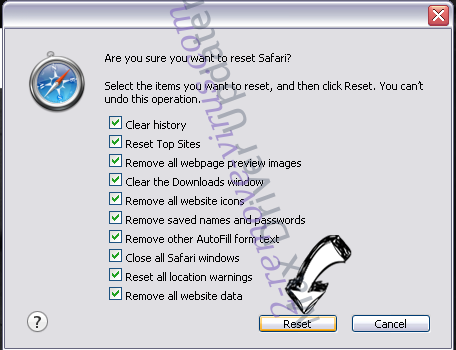 Auratab Hijacker Safari reset