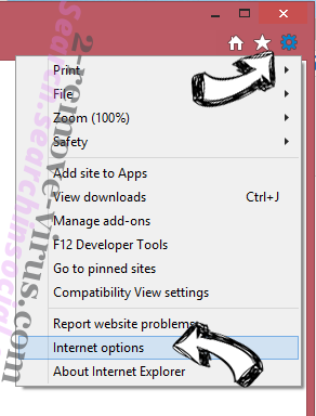 AnytimeAstrology Toolbar IE options