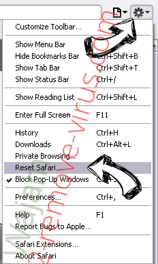 PopAndPush Virus Safari reset menu