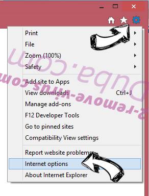 Easy PDF Virus IE options