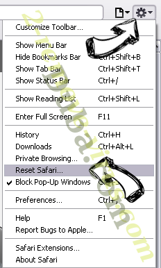 Internet Speed Radar Virus Safari reset menu