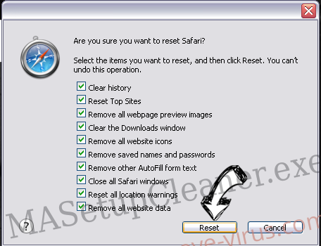 MyWayNotes Toolbar Safari reset