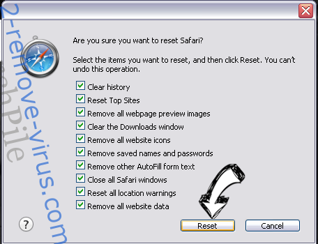 Search Manager virus Safari reset