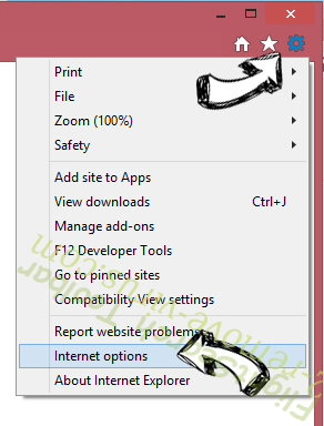 FlightSearch Toolbar IE options