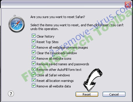 FlightSearch Toolbar Safari reset