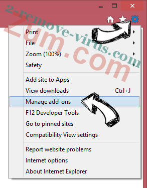 WinZip Driver Updater Virus IE gear