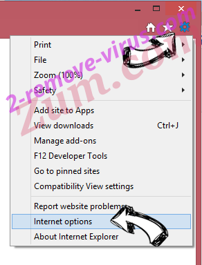 WinZip Driver Updater Virus IE options