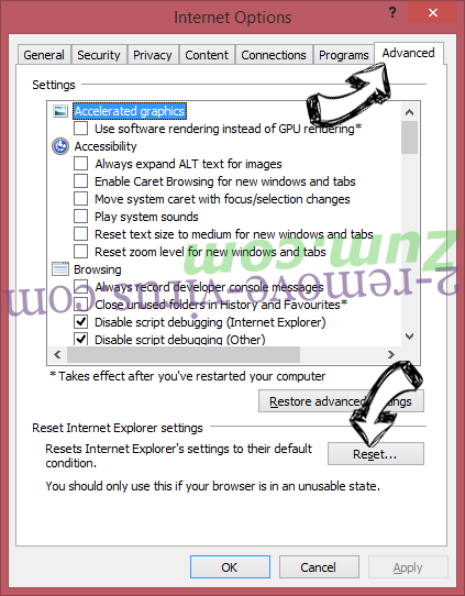 WinZip Driver Updater Virus IE reset browser