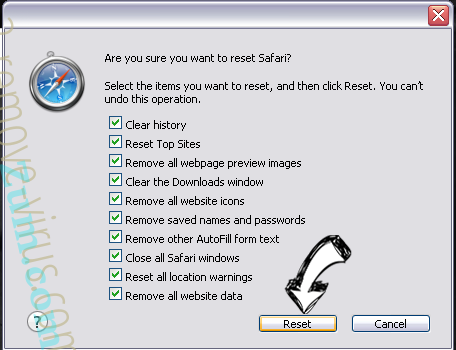 smp2.exe Safari reset