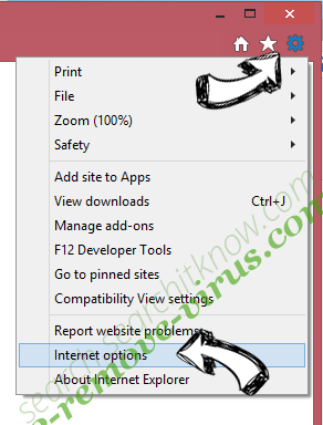 UC Browser IE options