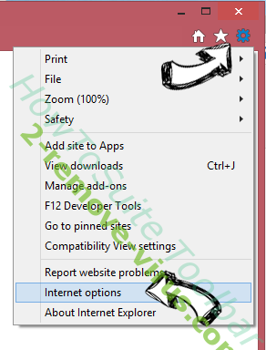 HowToSuite Toolbar IE options