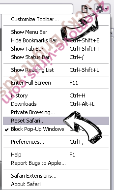 Easy Television Access Virus Safari reset menu