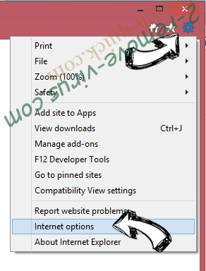 RSA 4096 Virus IE options